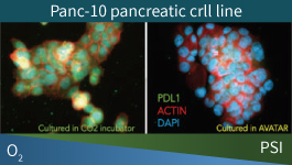 Wide selection of BMEs and other ECMs for 3-D culturing