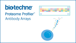 Wide selection of BMEs and other ECMs for 3-D culturing